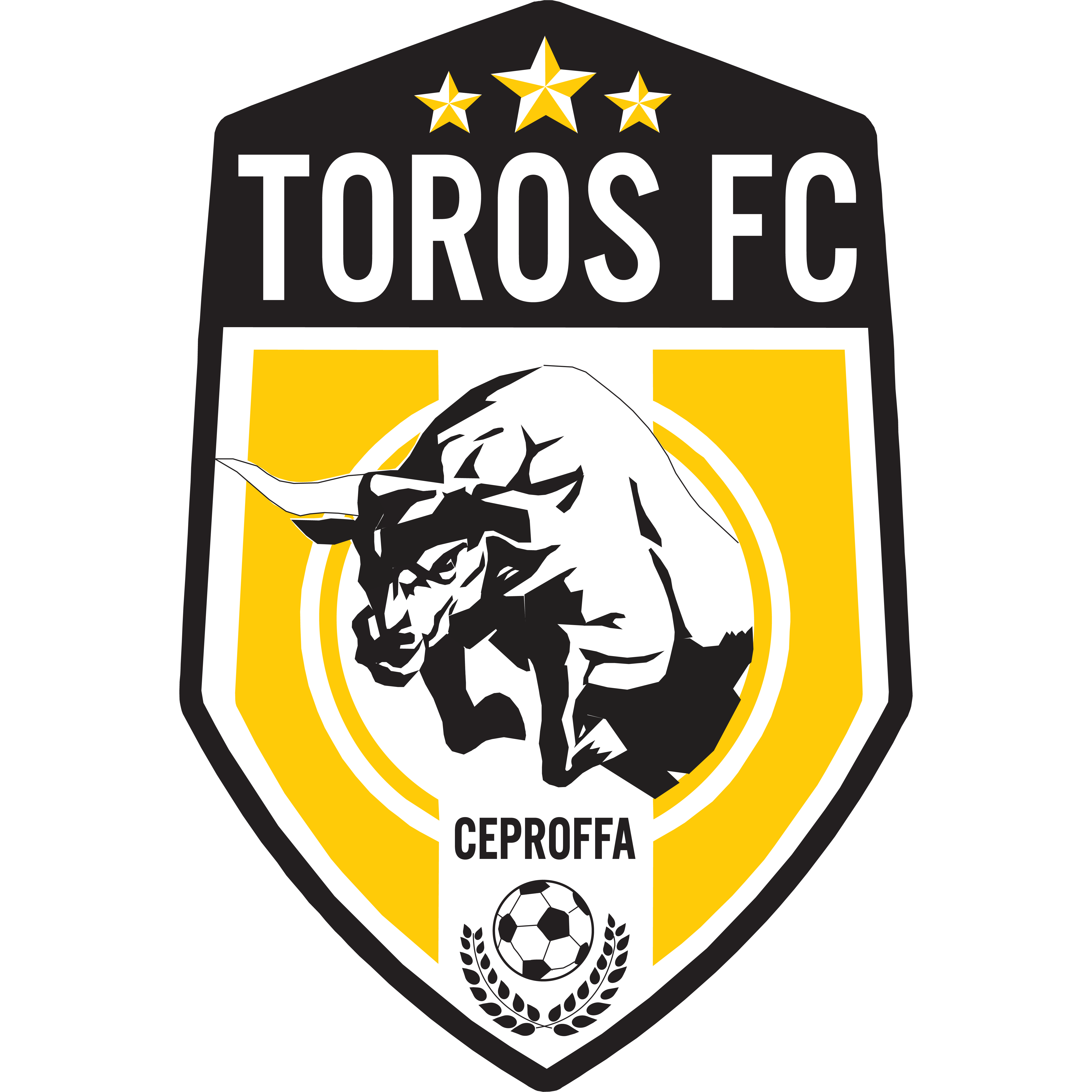 TOROS FC cEPROFFA